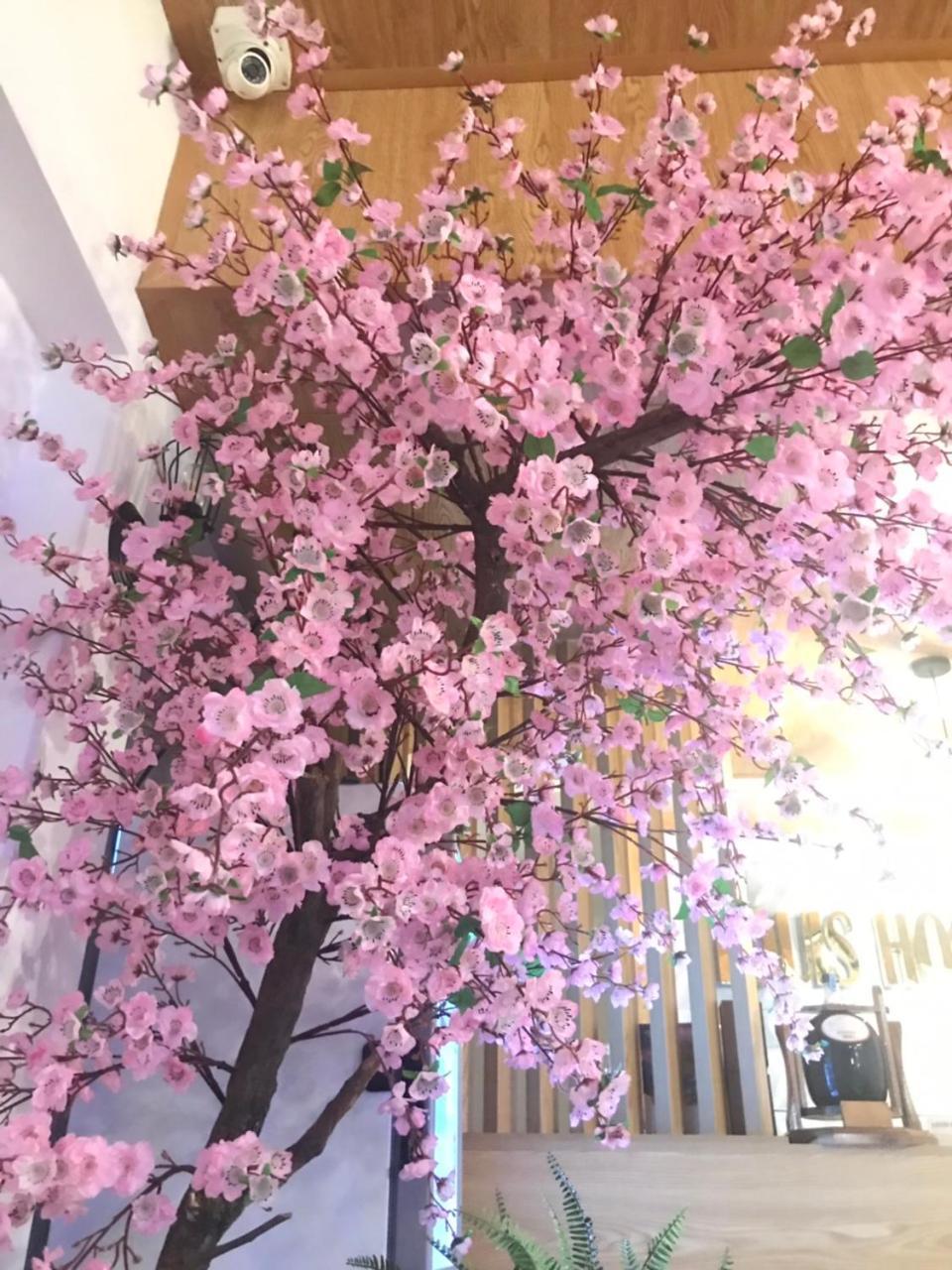 Louis Hotel - Bui Vien Walking Street Ho Şi Min Dış mekan fotoğraf